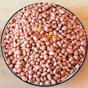 ANDRA Groundnuts