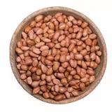 JAVA Groundnuts